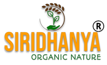 logo-main